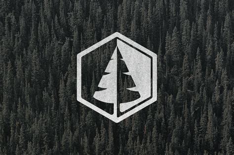 pine tree logo branding logo templates creative market