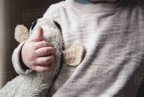 midsection  boy holding stuffed toy  home stock photo dissolve