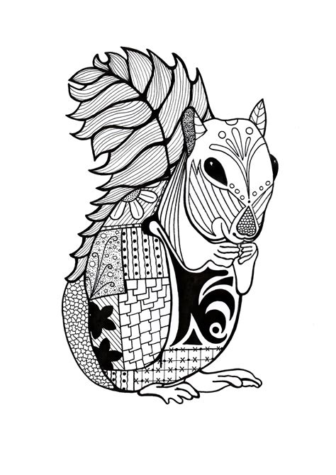 intricate squirrel adult coloring page favecraftscom