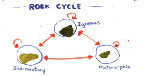 rock cycle untamed science