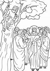 Zacchaeus Colorat Planse Iisus Vindecari Hristos Tree Miraculoase Template Come Minuni Zacheus Catecismo Coloringhome sketch template