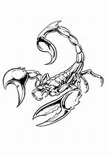 Scorpion Tattoo Scorpio Coloring Pages Drawing Tattoos Zodiac Designs Animated Colorless Animal Outline Drawings Stencils Printable Escorpion Madscar Ink Draw sketch template
