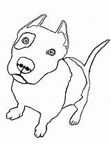 Pitbull Coloring Pages Pit Bull Drawing Realistic Line Puppy Zombie Cute Bucking Color Drawings Getdrawings Puppies Getcolorings Printable Pag Paintingvalley sketch template