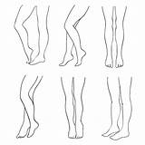 Outline Legs Female Vector Leg Attractive Set Human Woman Line Illustration Premium Sketch Foot Wall Sexy Vectors Spa Beautiful Body sketch template
