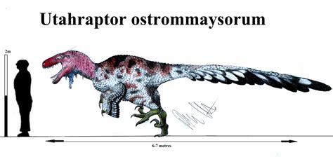 utahraptor  gigantoraptor size jule freedom