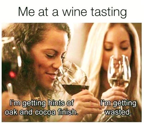 wine tasting 101 wine meme wine jokes wine humor