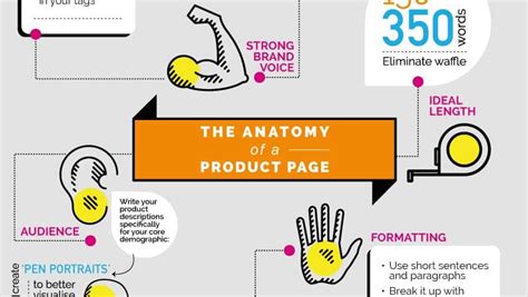 product description infographic  anatomy   product page