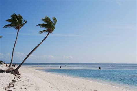 beach of coco bahamas freedom of the seas eastern caribbean cruises