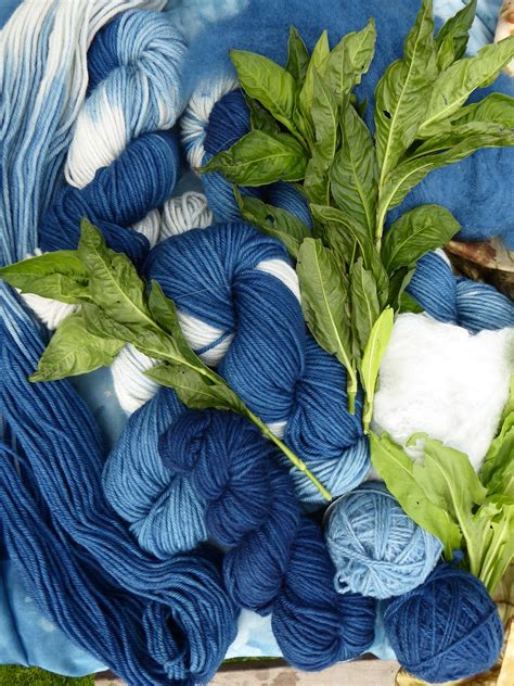 wool tribulations  hand spinning  herbal dyeing japanese indigo plant dyeing  overdyeing
