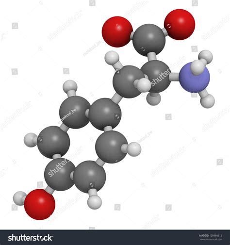 Tyrosine Tyr Y Amino Acid Molecular Stock Illustration 128960612
