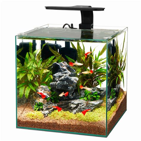aqueon frameless cube aquarium  gallon petco aquarium glass jugs