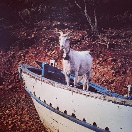 goat   boat picture   goat   boat cowes tripadvisor