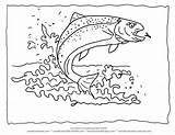Trout Forelle Fische Malvorlage Ausmalbild Malvorlagen Ausmalen Ausdrucken Besuchen Forellen Kostenlos Fuer Wonderweirded sketch template