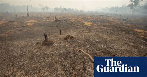 drone footage reveals devastation  amazon fires video global  guardian
