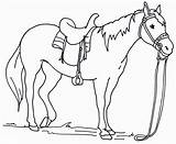 Cavalo Desenhos Dressage Cavalos Poplembrancinhas sketch template