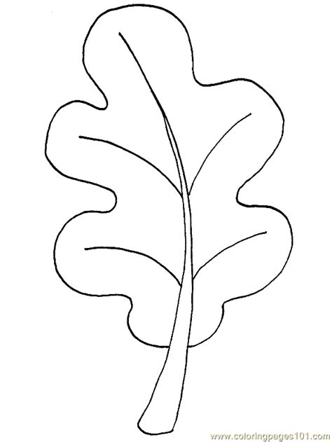 leaf coloring page  coloring page  trees coloring pages