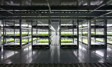 spread says it will open the fully automated farm with robots handling