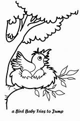 Nest Bird Coloring Baby Pages Colouring Drawing Getdrawings Coloringpagesfortoddlers Animals Visit sketch template