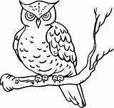 Owl Coloring Pages Kids Printable Owls Color Sheets sketch template