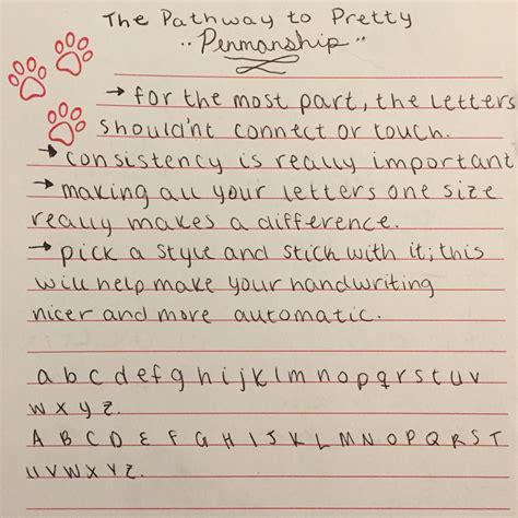 neat handwriting practice  adults thekidsworksheet
