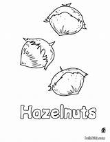 Hazelnut Coloring Pages Fruit Hellokids Color Print Tree sketch template