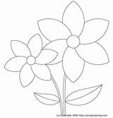 Coloring Pages Flower Petals Printable Popular sketch template