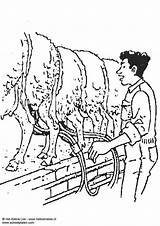 Sheep Milking Coloring Large Edupics sketch template