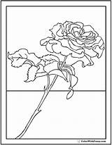 Rose Coloring Pages Long Stem Sweet Printable Pdf Printables Colorwithfuzzy sketch template