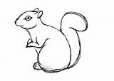 Squirrel Drawing Coloring Easy Clipart Line Outline Pages Drawings Flying Printable Kids Garden Squirrels Clip Leigh Deborah Statue Cliparts Clipartbest sketch template