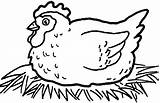 Ayam Mewarnai Binatang Sketsa Lucu Ini sketch template