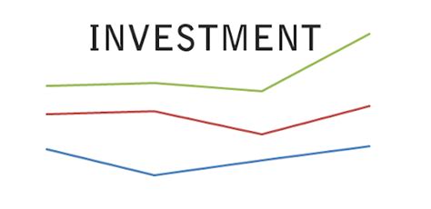 investment meaning  types  investment