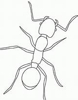 Hormigas Imágenes Hormiga sketch template