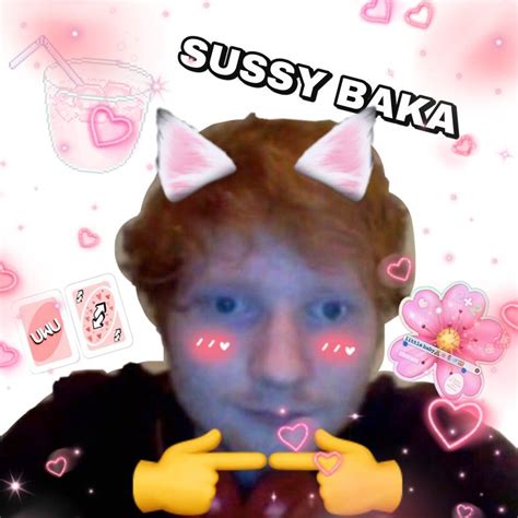 Ed Sheeran Uwu Funny Memes Anime Funny Really Funny Pictures