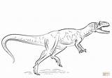 Allosaurus Dinosaurier Dinosaurio Ausmalbilder Camptosaurus Cadavere Seonegativo sketch template