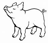 Pig Coloring Choose Board Sheets Outline Pages Animal sketch template