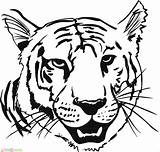 Animaux Harimau Coloriage Mewarnai Tigre Tigres Tete Coloriages Marimewarnai Ancenscp Paud Tk sketch template
