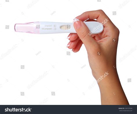 Hand Holding Pregnancy Test Positive In Her Hand Woman