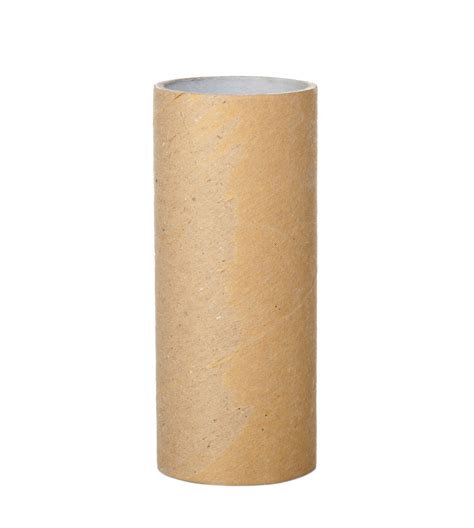 paper towel  toilet paper tube city  fort collins