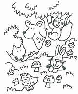 Coloring Forest Animals Pages Woodland Animal Color Kids Preschool Cute Printable Sheets Colouring Fall Print Bosdieren Deciduous Kleurplaat Worksheets Theme sketch template
