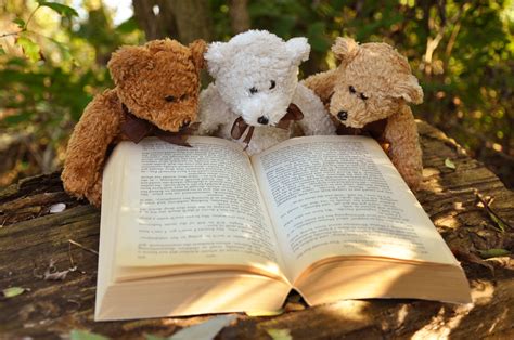 book stuffed animal teddy bear photography  life  ultra