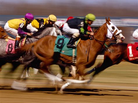 arizona   account wagering  horse  dog racing