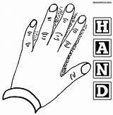 Coloring Hands Hand Pages Colorings Printable Kids Print sketch template
