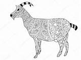 Goat Coloring Adults Illustration Vector Stock Depositphotos Gmail sketch template