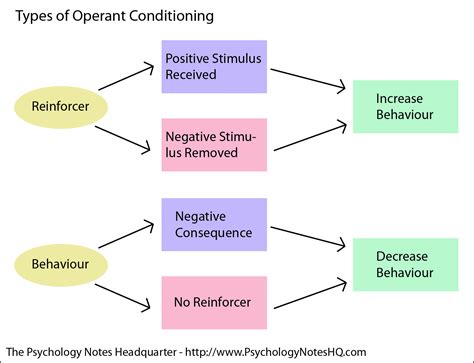 operant conditioning flow chart