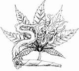 Weed Coloring Pages Tattoo Drawings Leaf Pot Drawing Marijuana Smoke Cannabis Draw Smoking Pencil Stoner Plant Step Tribal Designs Adult sketch template