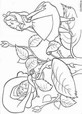 Coloring Pages Alice Wonderland Colouring Printable Color Book Kids Adult Roses Flowers sketch template