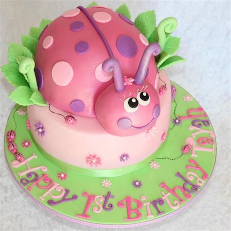 ladybug cake  cutest cake decorating tutorials cake cakes sydney