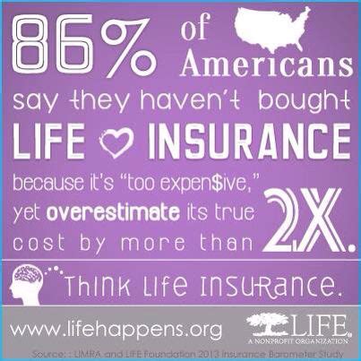 life insurance  alfa insurance  affordable