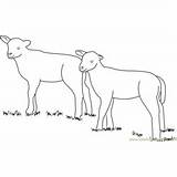 Lamb Sleeping Coloringpages101 sketch template