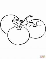 Tomatoes Coloring Drawing Pages Tomato Three Printable Tomatos Cartoon Vegetables Getdrawings Categories sketch template